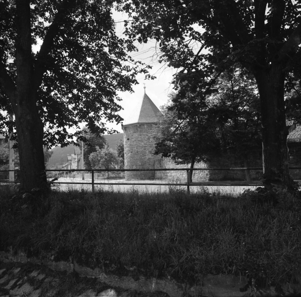 themar_foto_mittag_6x6_0340006-2.jpg