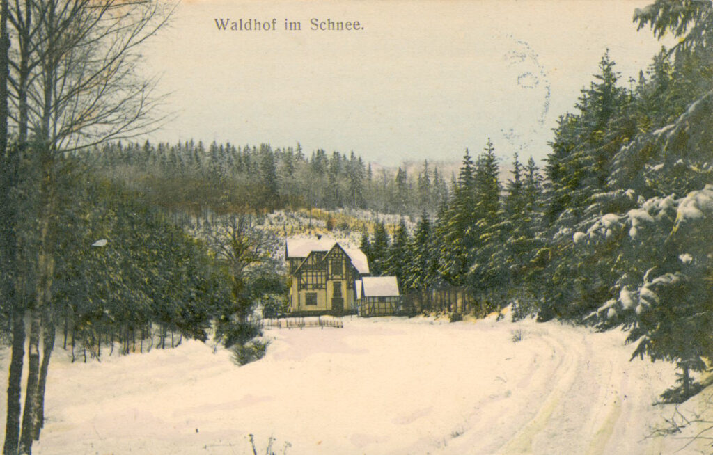 Waldhof im Schnee