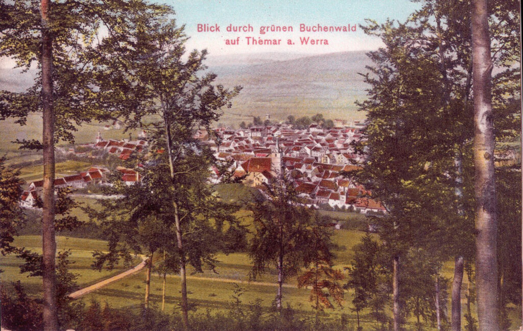 Blick durch grünen Buchenwald auf Themar a. Werra